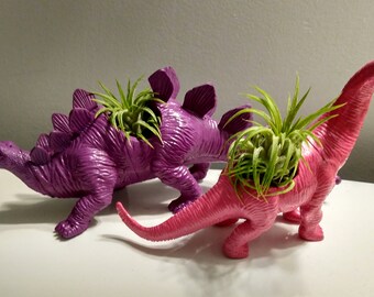 Colorful Dinosaur Planters for succulent or Air plants ON SALE