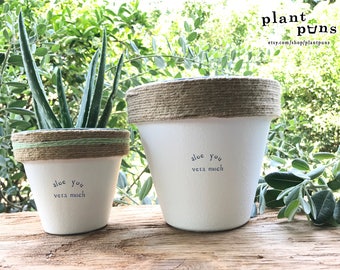 6" Aloe You Vera Much » Aloe Vera Cute Succulent Planter Plant Pot Cute Succulent Aloe Succulent Plant Gift Set Plant Puns Gift For Her Pot