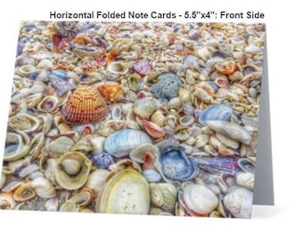 Sea Shell Note Cards, Box of 5 with white envelope