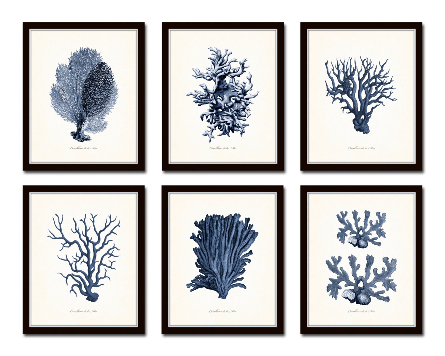 Vintage Coral Prints Blue Sea Coral Print Set No. 3 Giclee