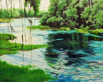 Rainbow River, FL 8x10" Print