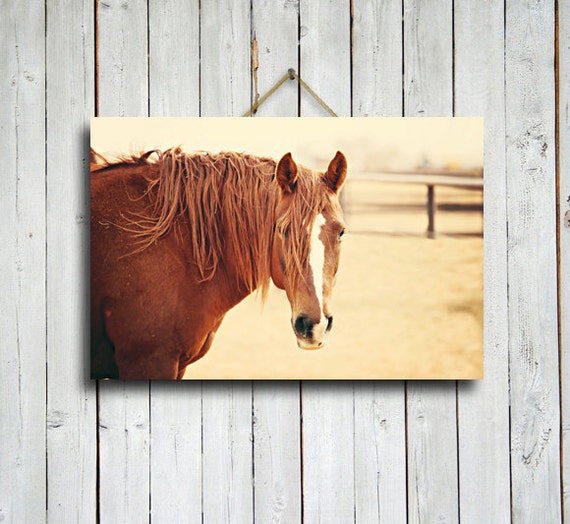 Upgrade Your 'Horse Ranch' (Style 3) Canvas To 24x48 Inches main image 1