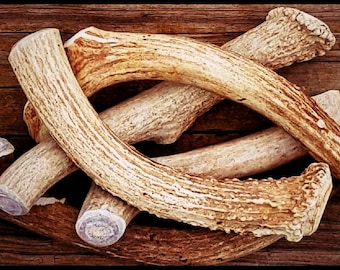 1 POUND -Premium Deer Antler Pieces- Dog Chews - Natural Shed Antlers