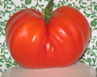 Wes Heirloom Giant Tomato Seeds