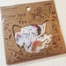 Cat Stickers - 50 Washi Flakes