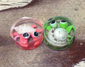 Hermit Crab Plugs Stretch Gauges
