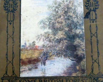 Vintage nature book, Vintage childrens book.