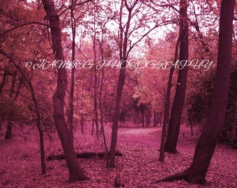 Fuchsia Forest 8x10 Print