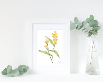 Golden Wattle Original Watercolour Postcard / Mini Painting / Flower Art