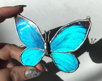 Blue Morpho Real Full Butterfly Necklace xl