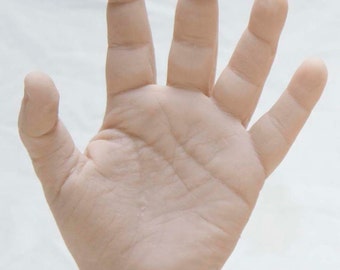 Left Male Silicone Mannequin Hands - Display Model Art rop