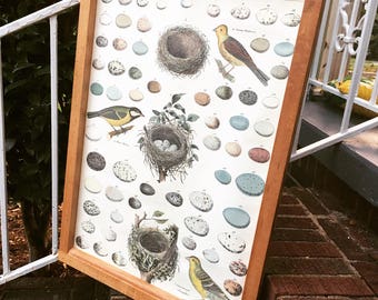 Custom Wooden Frames