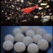 12 Japanese Tourmaline Mineral Balls for Shrimp Tanks & (10) FREE ALDER CONES