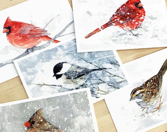 Winter Birds Holiday Card Set - 10 cards, Watercolor winter holiday stationery