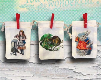 Alice in Wonderland Party Favor Bags | Onederland | Personalized | 3x5 4x6 6x8 Bridal Shower | Baby Shower | Birthday | Wedding | Custom 20