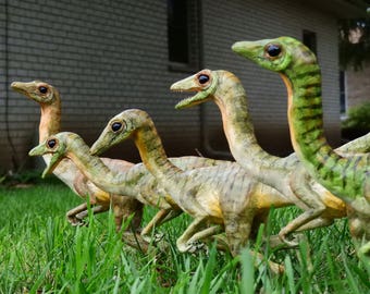 Compy Life-Size Replica Dinosaur Model