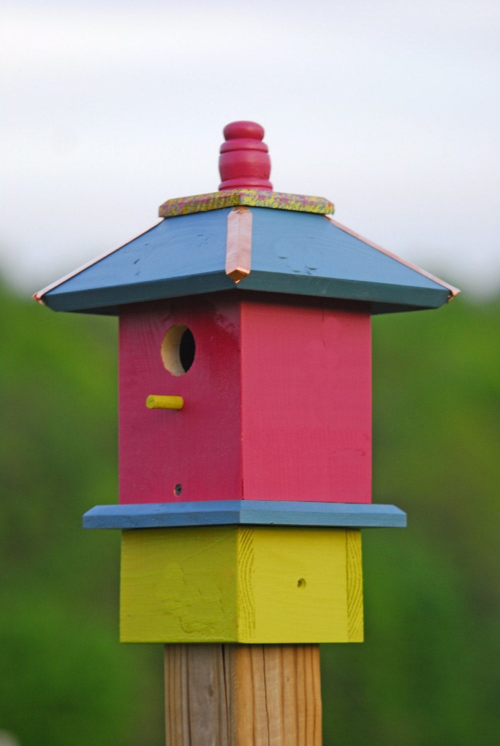 Whimsical Bird House Painted Bird Houses Chickadee   Il Fullxfull.145344994 