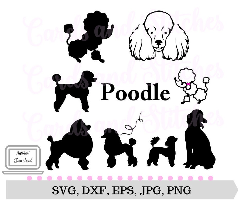 Download Poodle SVG Poodle Silhouettes Dogs SVG Digital Cutting