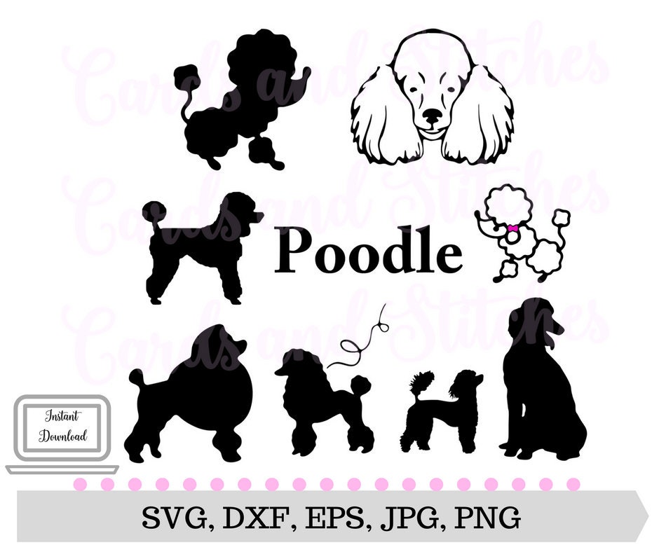 Poodle SVG Poodle Silhouettes Dogs SVG Digital Cutting