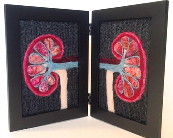 Renal Model: A Study of the Human Kidneys in Wool