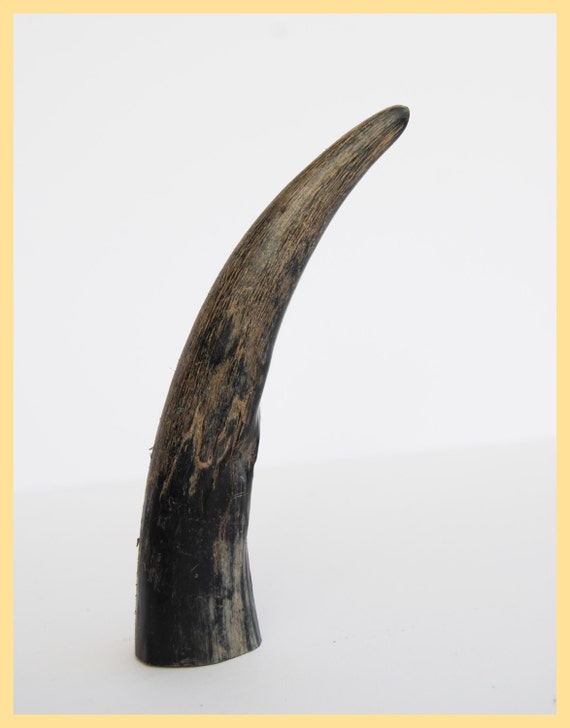 ORIGINAL BUFFALO HORN Folk Art Collectable Horn.