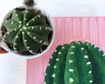 Giclee Print of original oil painting, Domino cactus, gallery wrapped, ready to hang, 6x6, 8x8, 10x10, 12x12 or 18x18 FREE SHIPPING in US