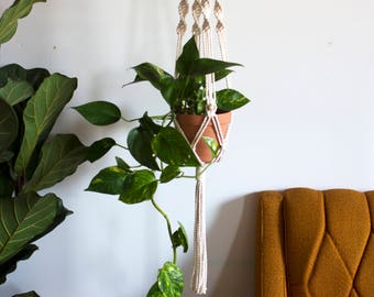 Francis Macrame Plant Hanger