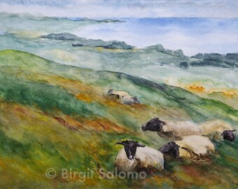 Sheep on Rügen, Ostsee, Baltic Sea, sheep, fine-print 20x30 cm, poster 30x40 cm, fine-print 29, 7x42 cm, original watercolor 36x48 cm