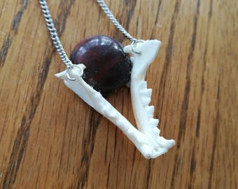 Mink Jaw Bone and Red Tigers Eye Necklace