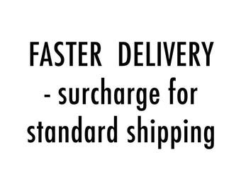 FASTER DELIVERY - surcharge for standard shipping