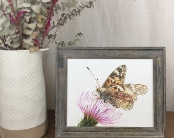 Painted Lady Butterfly 8x10 Print