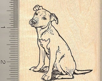 American Pit Bull Terrier Dog Rubber Stamp K10316 WM