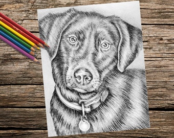 Labrador coloring | Etsy Labrador coloring | Etsy