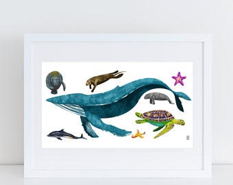 Sea Creatures - Signed Print