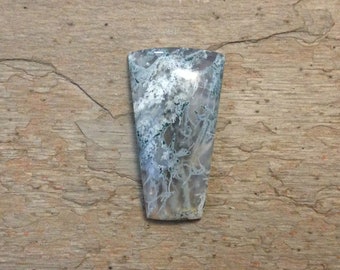 Designer Horse Canyon Agate Cabochon.
