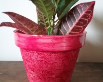 Flower pot vinegar painted in vermilion