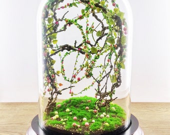 Terrariums Notonthehighstreet Com