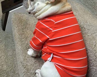 French Bulldog Frenchie Cotton Pullover TShirt in Orange and White Stripes