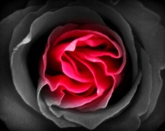 The Sweet Spot
