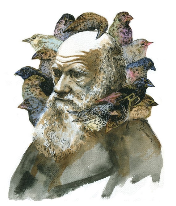 Charles Darwin with Finches portrait print in multiple sizes