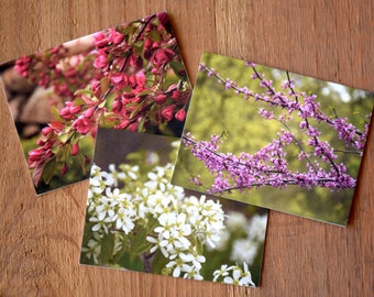 Spring Bloom Note Cards Set