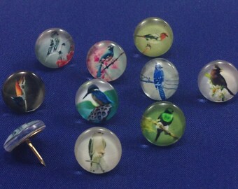 Decorative Push Pins, Decorative Bird Push Pins, Drawing Pins, Push Pins, Thumbtacks, Cork Board Pins, Birds Drawing Pins, Teachers Gift