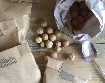 Dried Oak Galls for natural dyeing / Galnoten