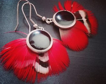 Red parrot feather earrings.