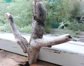 Unique Driftwood Piece for Beach Art , Jewelry Display and Coastal Home Decorating , Nature Made Drift Wood