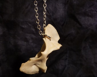 Fox Atlas Vertebra Bone Necklace