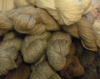 Yarn CSA Spring of 2018 Montana Wool Twisted Fiber CSA Minimum of 12 Skeins Shetland Romney Cross