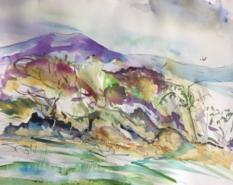 Big Island Impressions