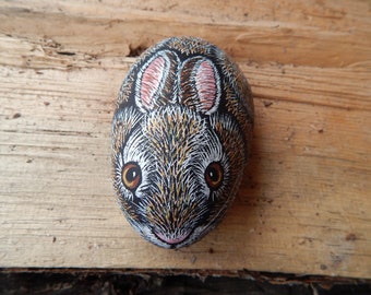 Cottontail bunny art, Cottontail rabbit painting, Bunny painted rock art
