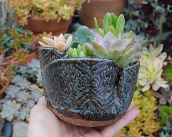 ceramic planter pot garden plant bowl window garden wavy planter